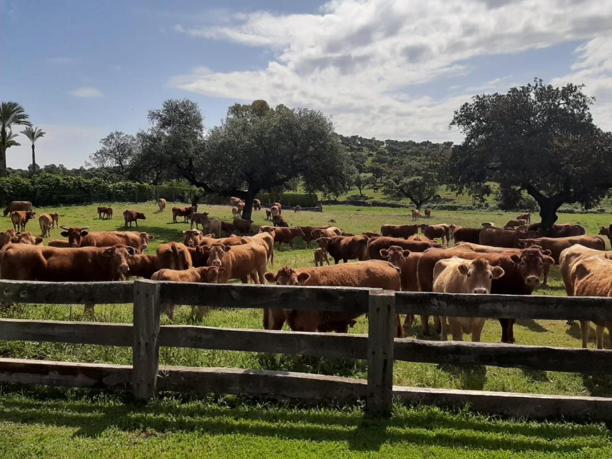 Alojamiento Rural Finca Barral El Garrobo Eksteriør bilde