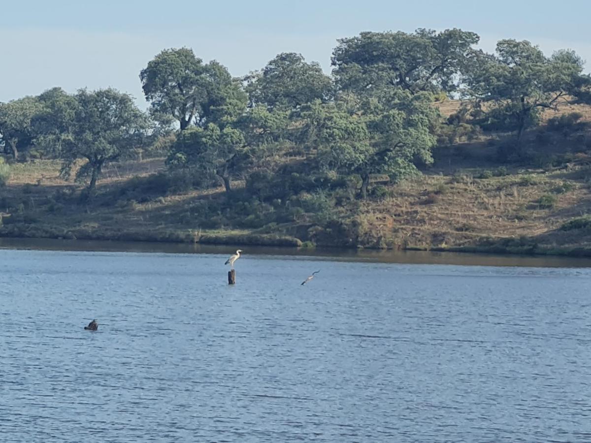 Alojamiento Rural Finca Barral El Garrobo Eksteriør bilde