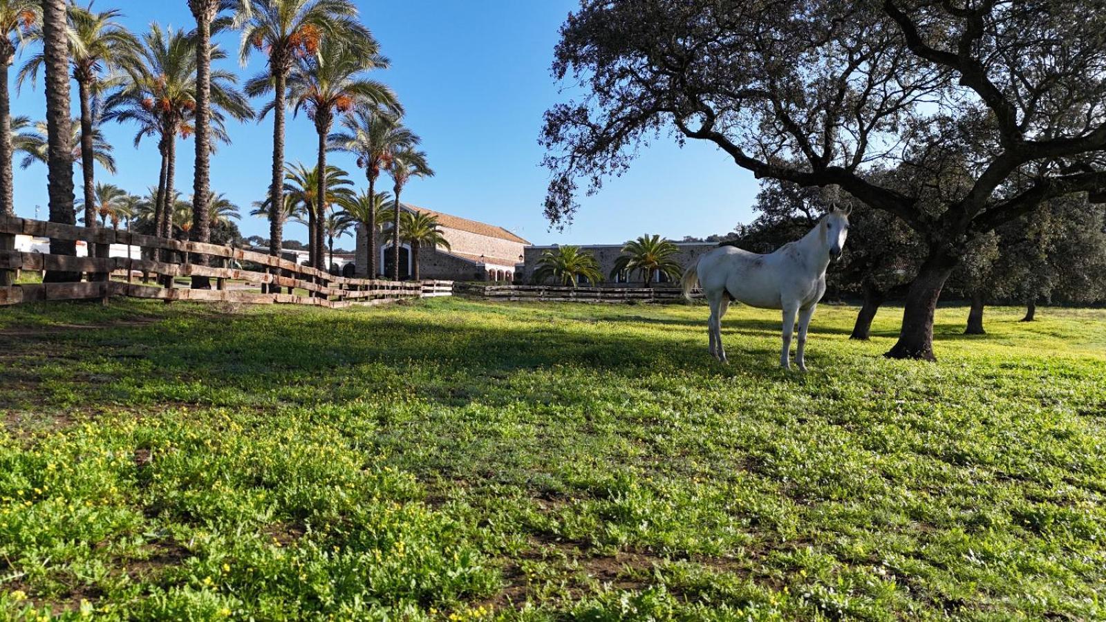Alojamiento Rural Finca Barral El Garrobo Eksteriør bilde