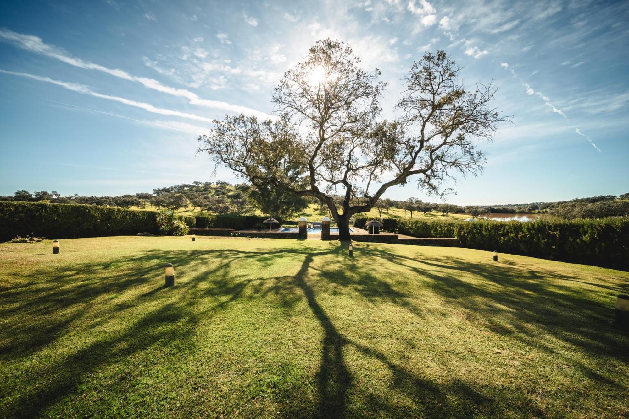 Alojamiento Rural Finca Barral El Garrobo Eksteriør bilde