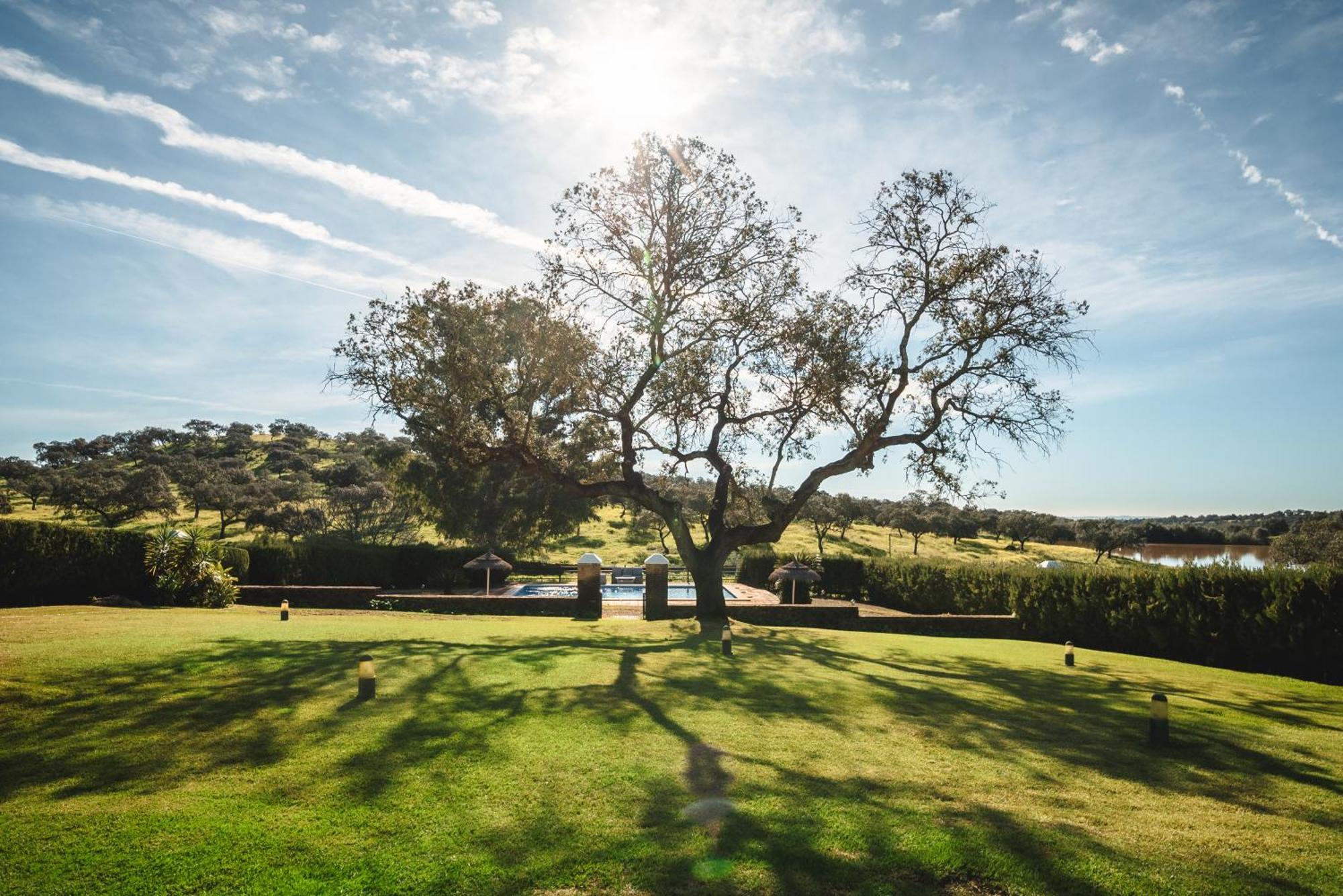 Alojamiento Rural Finca Barral El Garrobo Eksteriør bilde