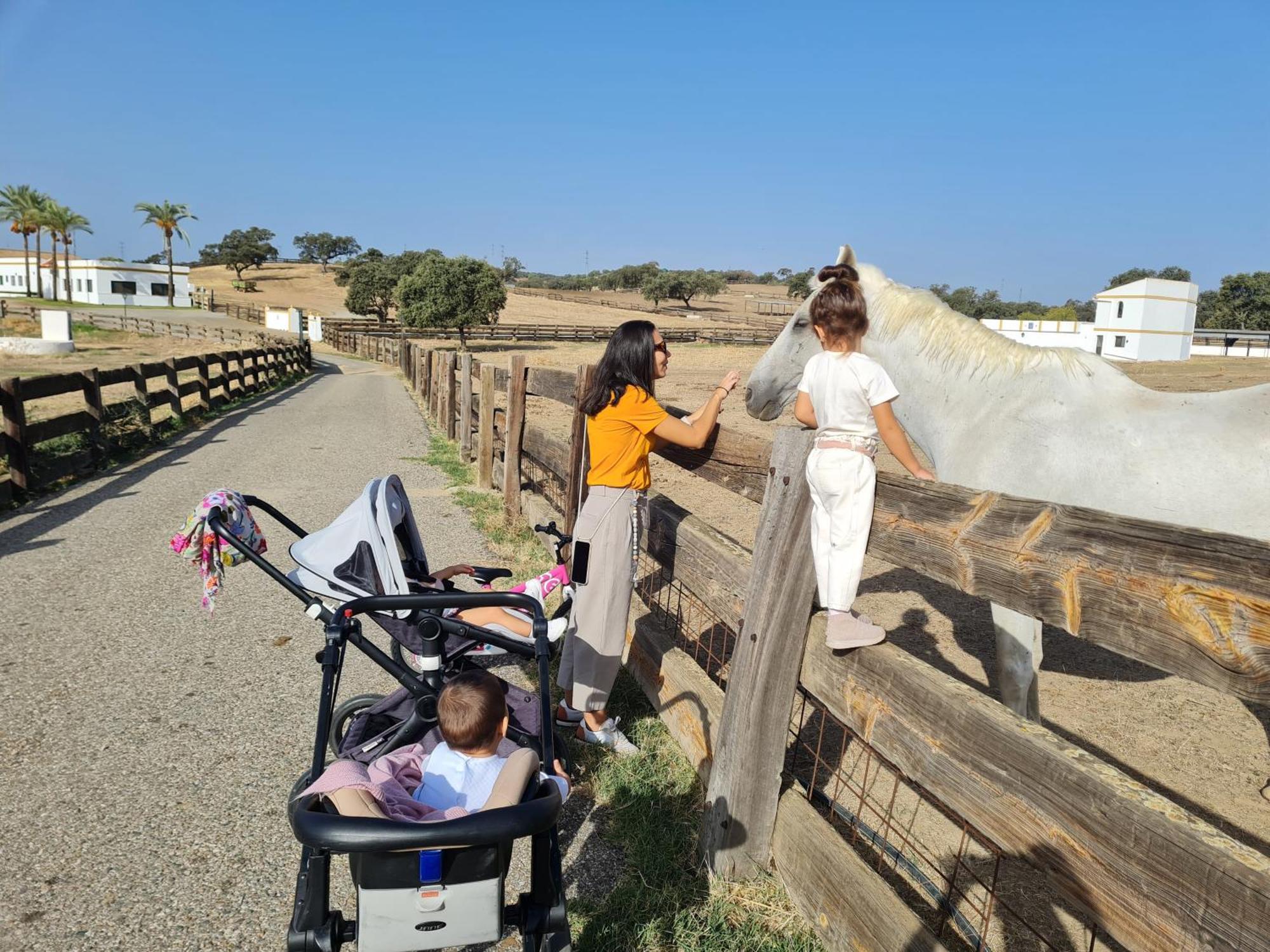 Alojamiento Rural Finca Barral El Garrobo Eksteriør bilde