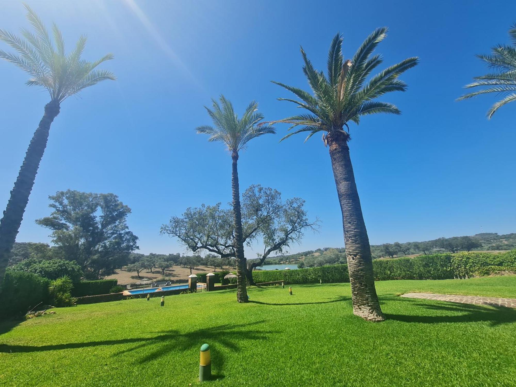 Alojamiento Rural Finca Barral El Garrobo Eksteriør bilde