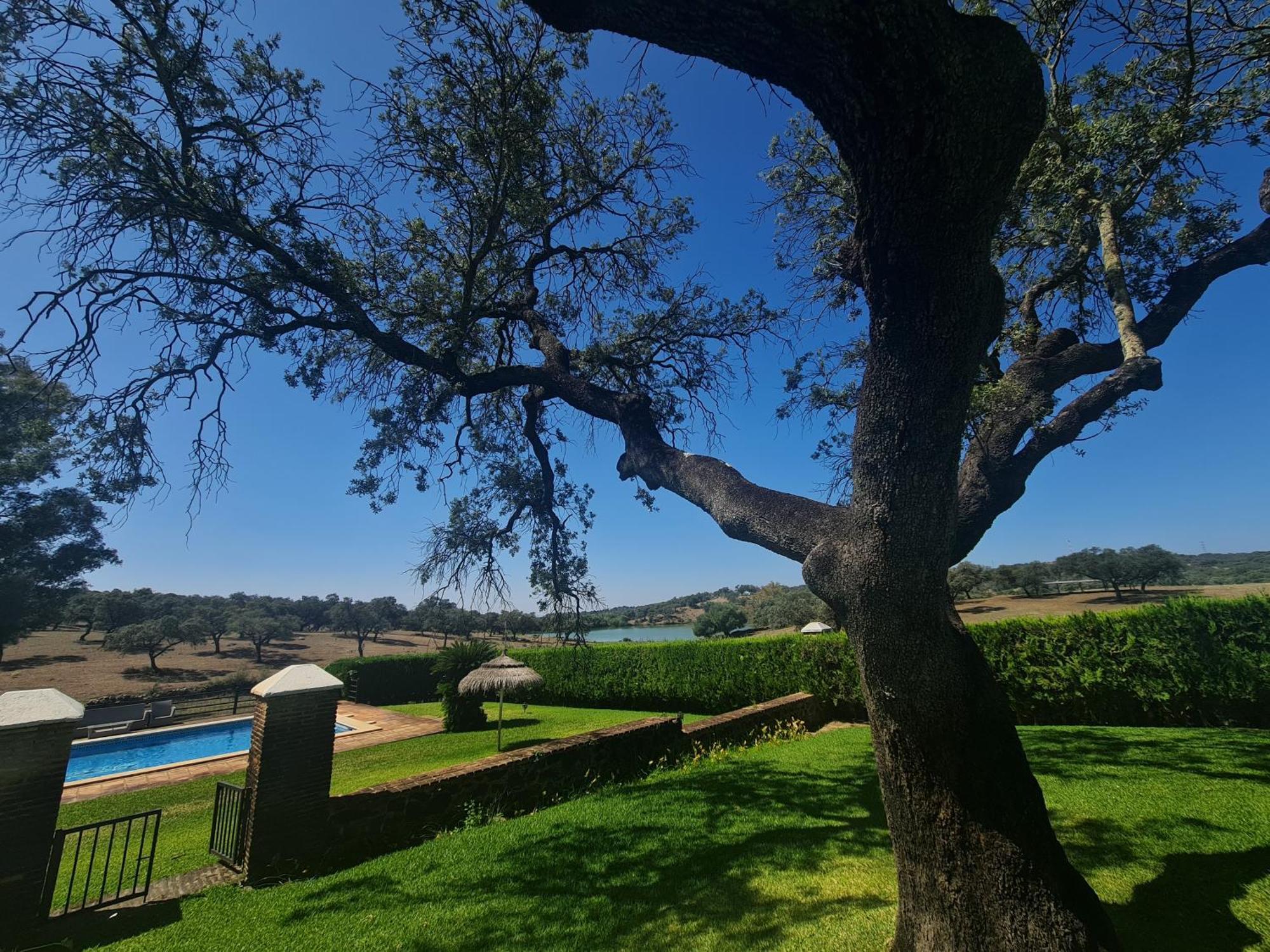 Alojamiento Rural Finca Barral El Garrobo Eksteriør bilde